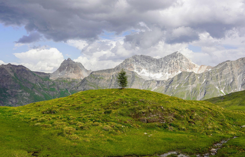 The Art Biennale ART SAFIENTAL in the Swiss Alps